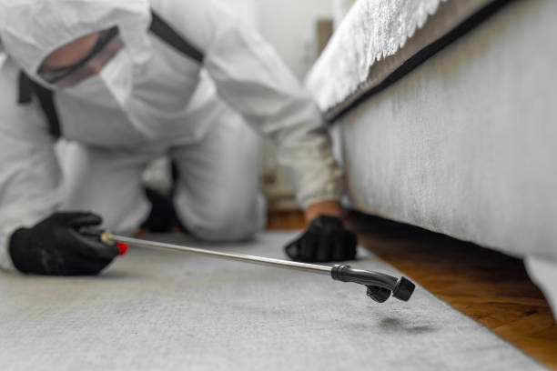 Professional Termite Control technician working in Loveland, CO